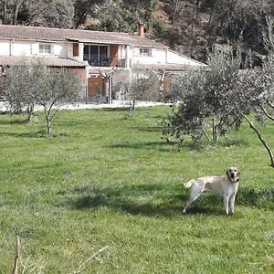 Le Mas Des Oliviers Puget